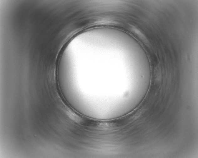 X0000071831322200607072159