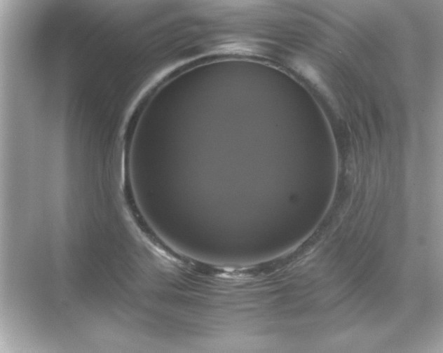 X0000071831323200607072159