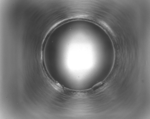 X0000071831324200607072159