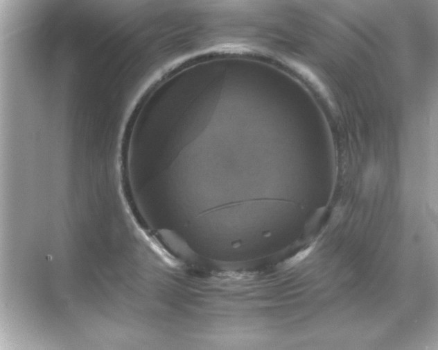 X0000071831327200607072200