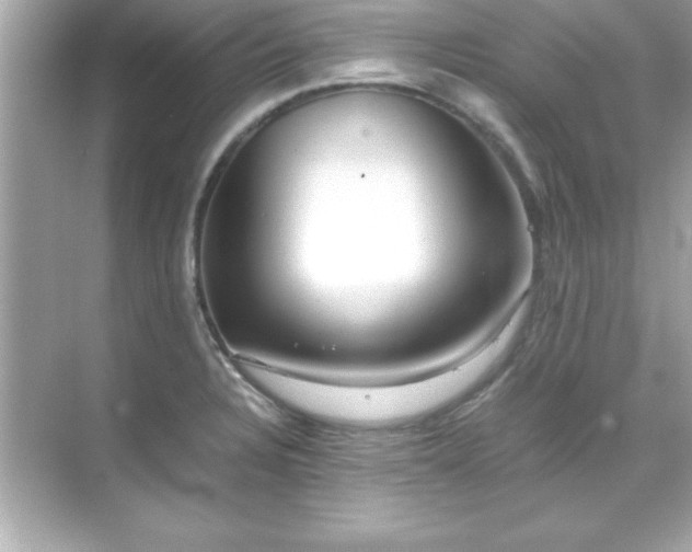 X0000071831328200607072200