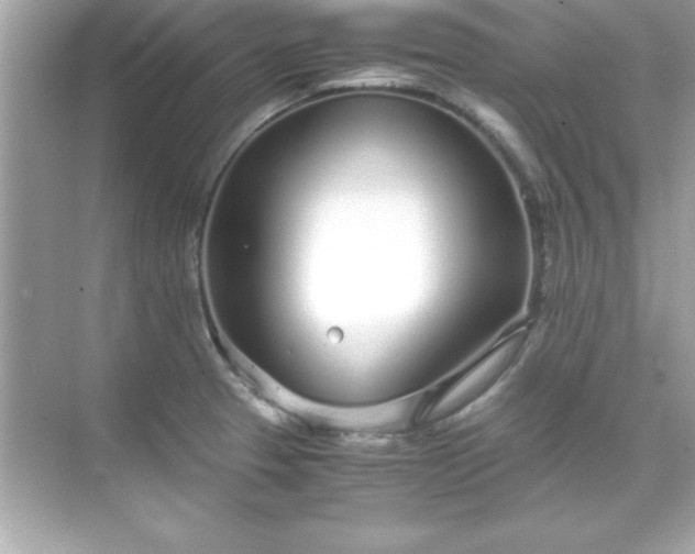 X0000071831329200607072200