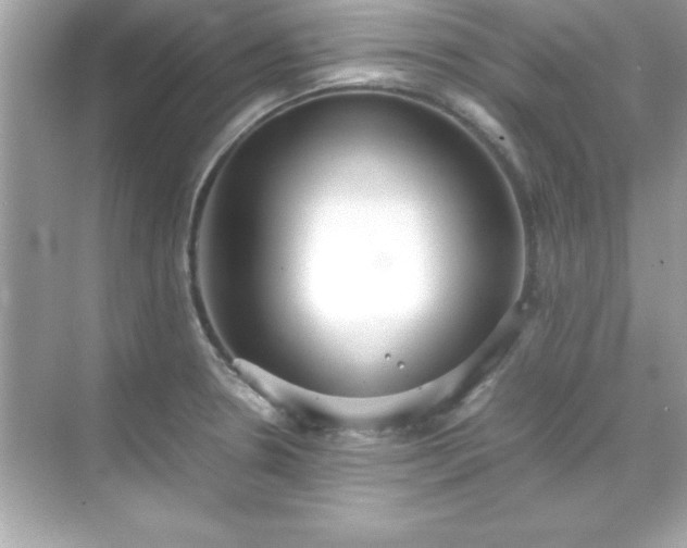 X0000071831330200607072200