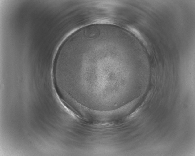 X0000071831331200607072200