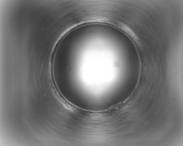 X0000071831332200607072200