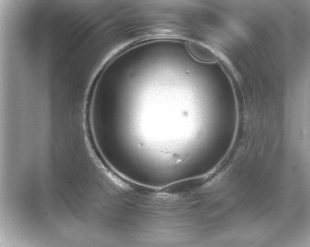 X0000071831333200607072200