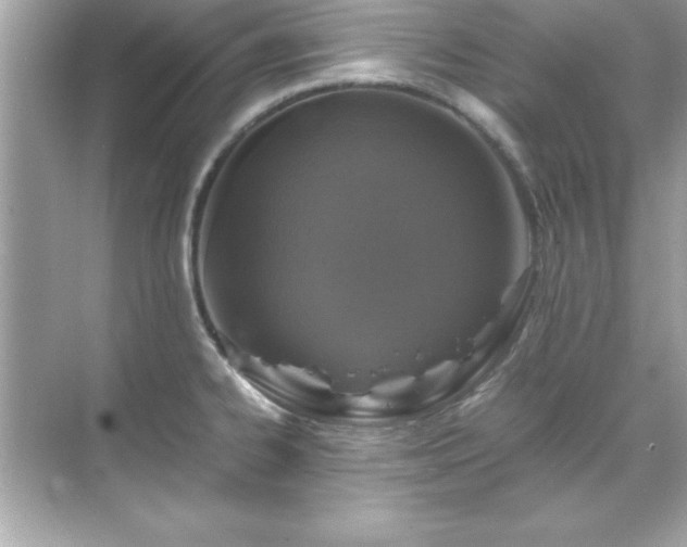 X0000071831334200607072200