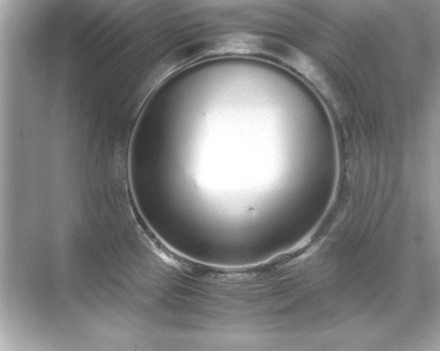 X0000071831337200607072200