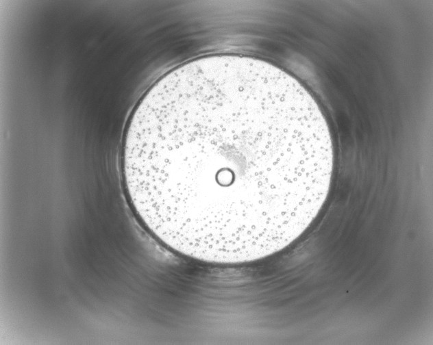 X0000071831338200607072200