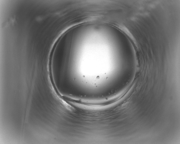 X0000071831339200607072200