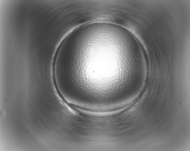 X0000071831341200607072200