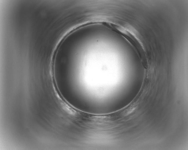 X0000071831342200607072200