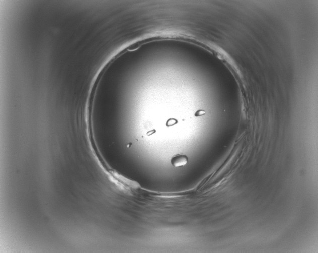 X0000071831343200607072200