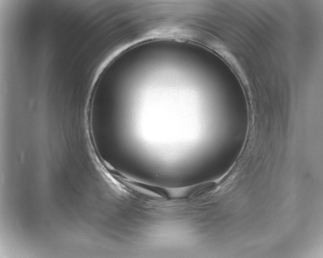 X0000071831344200607072200