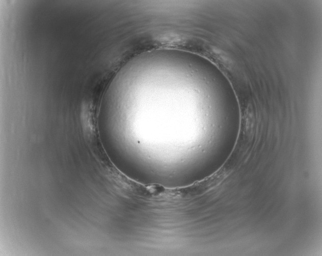 X0000071831346200607072159