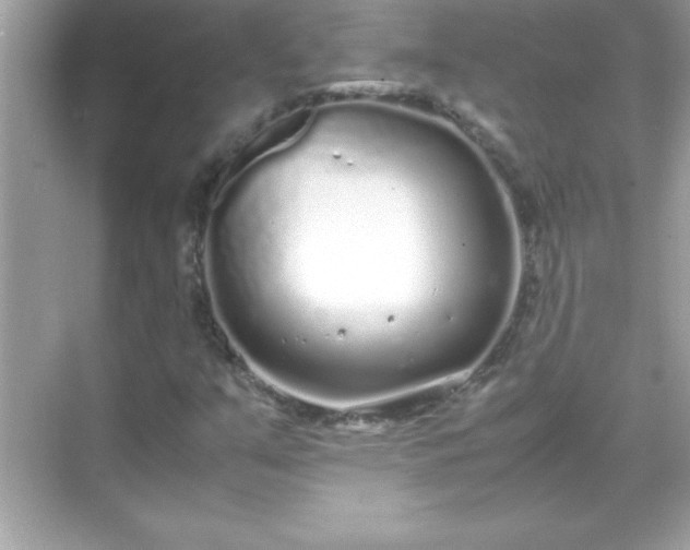 X0000071831351200607072159