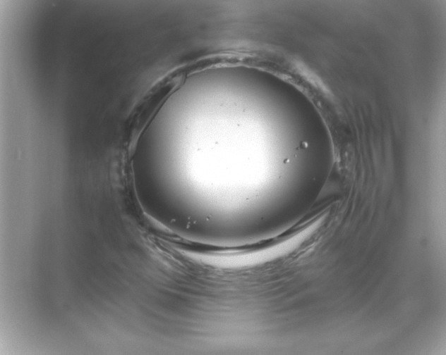 X0000071831352200607072159