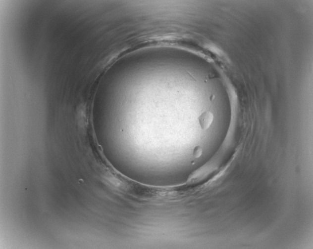 X0000071831353200607072159