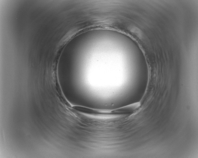 X0000071831354200607072159