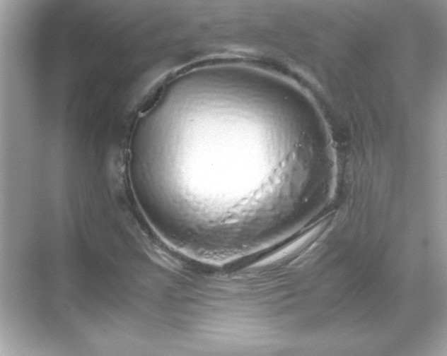 X0000071831355200607072159