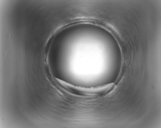 X0000071831357200607072159