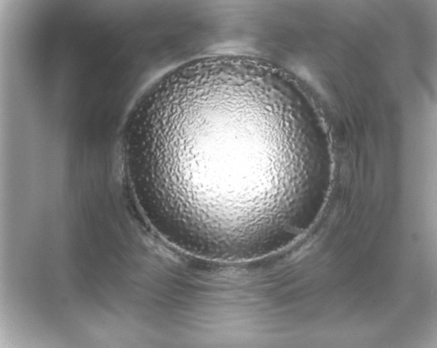 X0000071831358200607072159