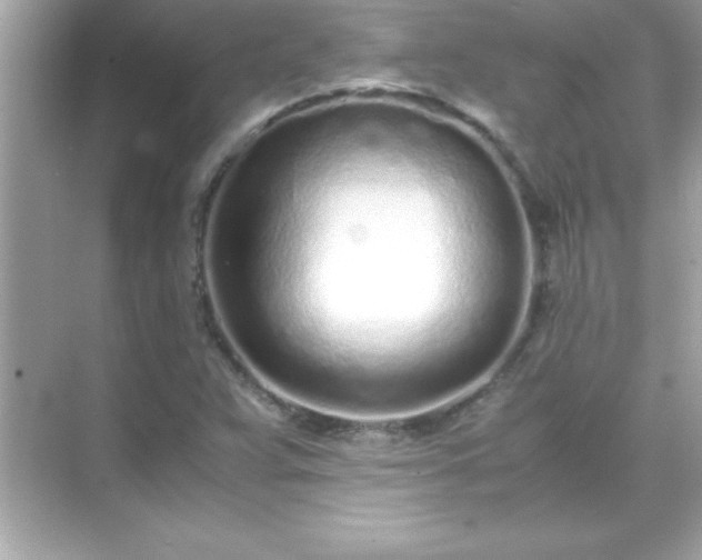 X0000071831359200607072159