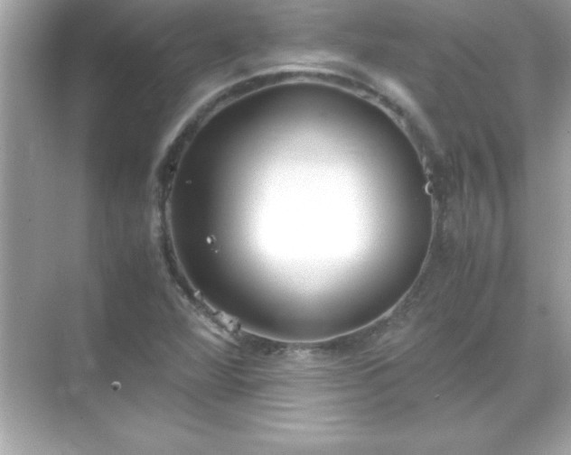 X0000071831360200607072159