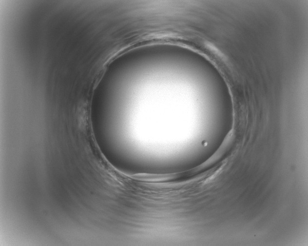 X0000071831361200607072159