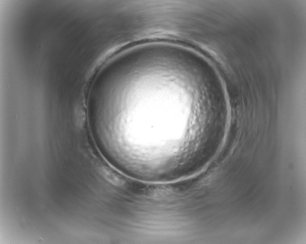 X0000071831363200607072159