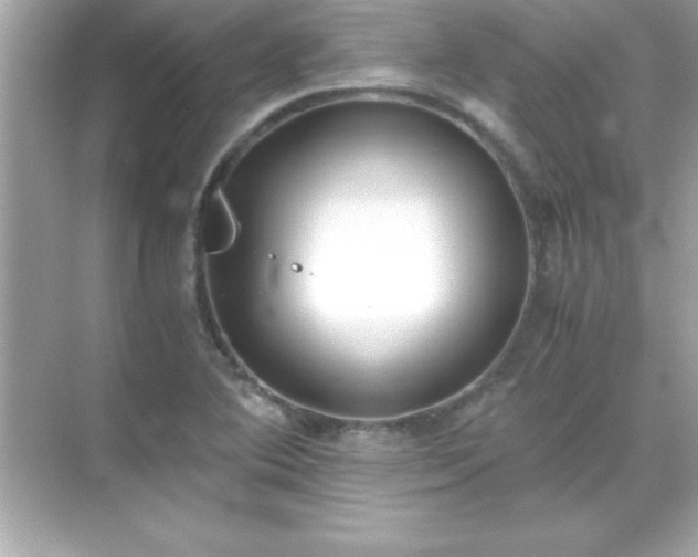 X0000071831364200607072159