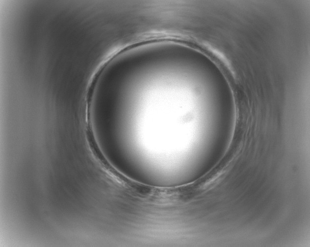 X0000071831365200607072159