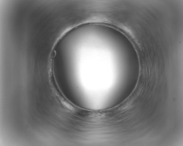 X0000071831366200607072159