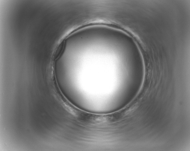 X0000071831367200607072159