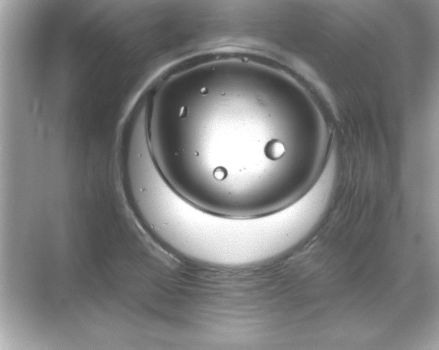 X0000071831368200607072159