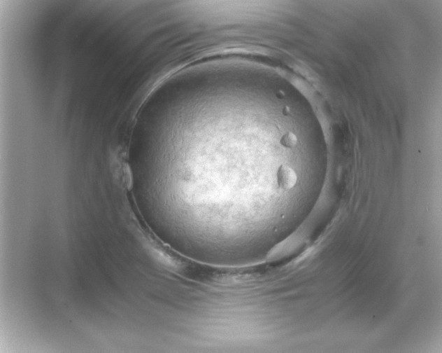 X0000071831369200607072159