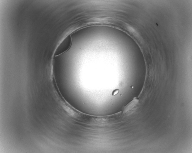 X0000071831370200607072159