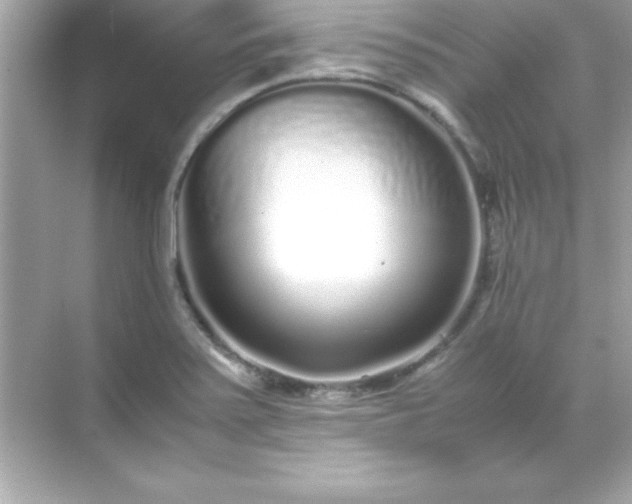 X0000071831371200607072159