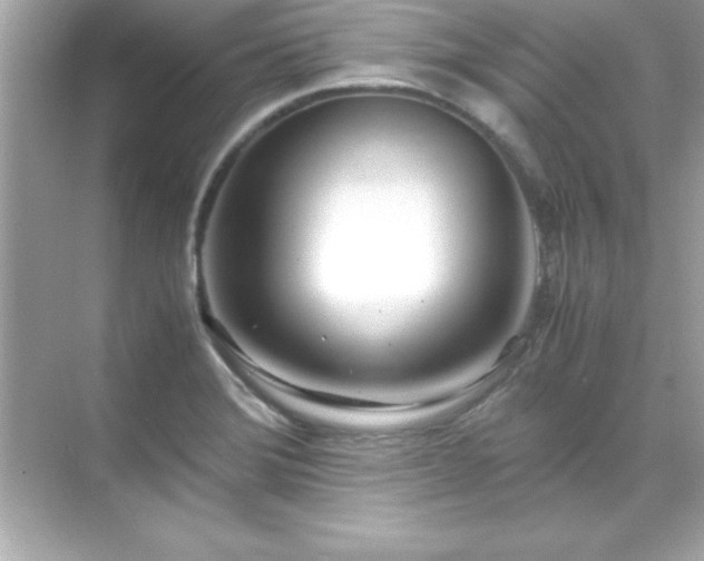 X0000071831372200607072159