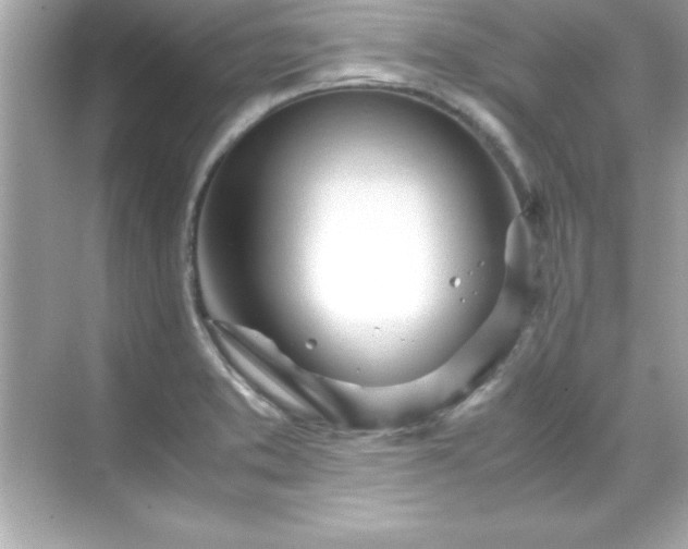 X0000071831373200607072159