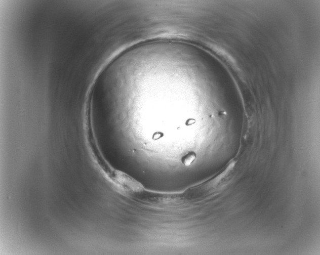 X0000071831375200607072158