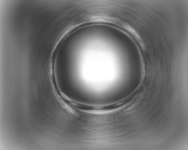 X0000071831376200607072158