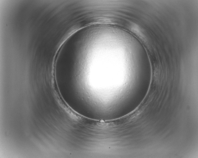 X0000071831378200607072158