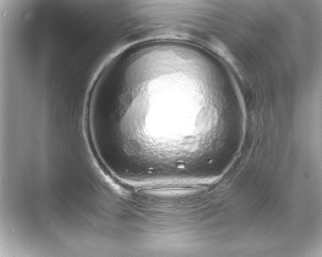 X0000071831379200607072158