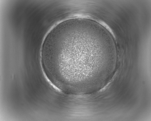 X0000071831381200607072158