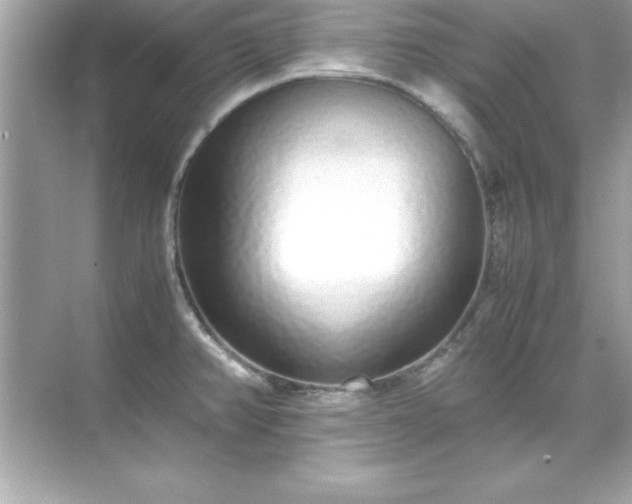 X0000071831382200607072158