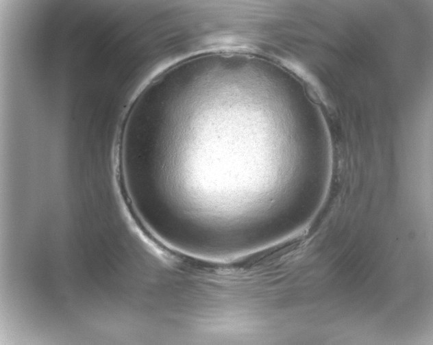 X0000071831383200607072158