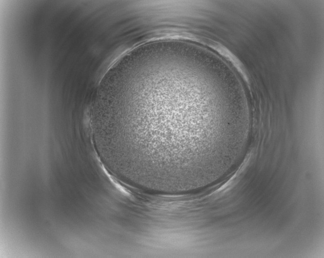 X0000071831385200607072158