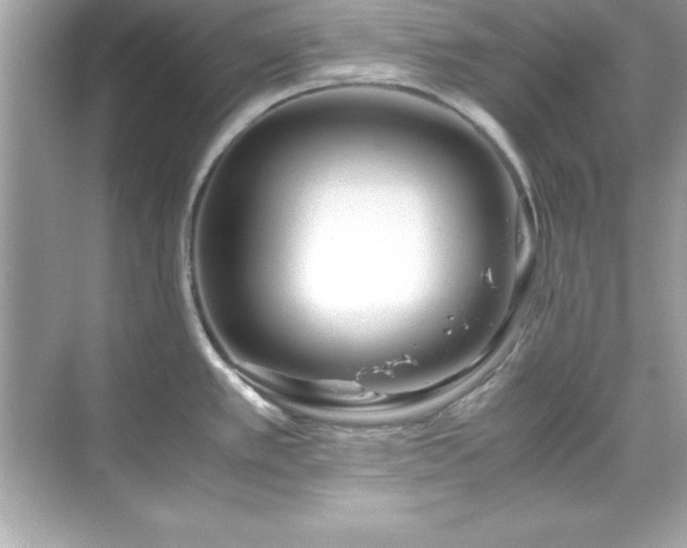 X0000071831389200607072158