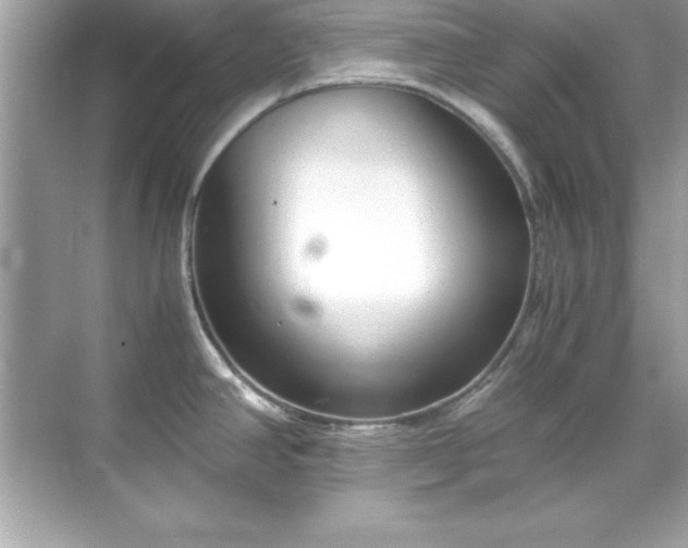 X0000071831390200607072158